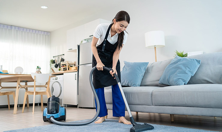 Domestic Cleaning